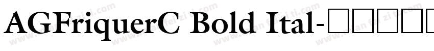 AGFriquerC Bold Ital字体转换